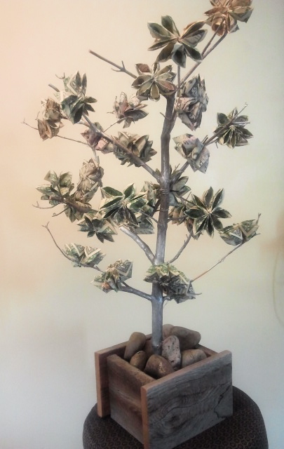 money tree gift